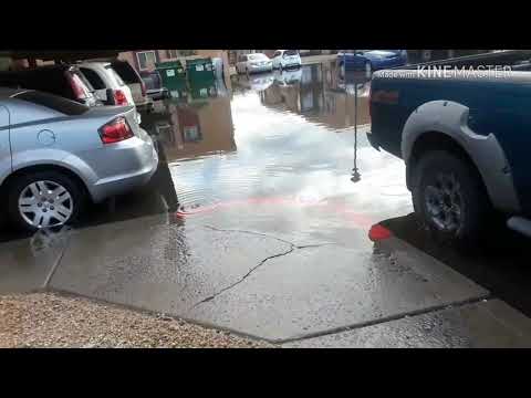WHEN IT RAIN, IT POURS! (IN PHOENIX, ARIZONA – FLOOD)