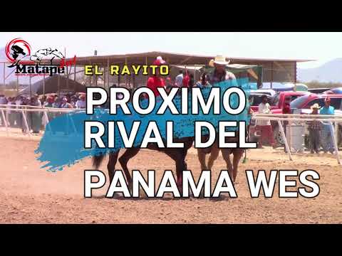 Carreras de Caballos en Phoenix, Arizona 04 de Agosto 2018