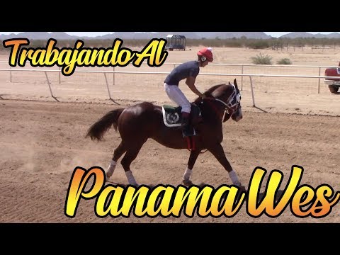 Carreras de Caballos en Phoenix, Arizona 15 de Septiembre 2018