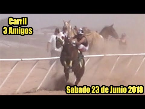 Carreras de Caballos en Phoenix, Arizona 23 de Junio 2018