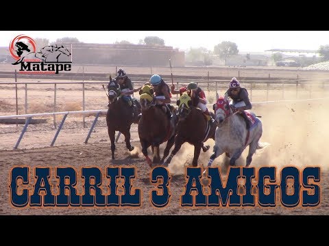 Carreras de Caballos en Phoenix, Arizona 28 de Octubre 2017
