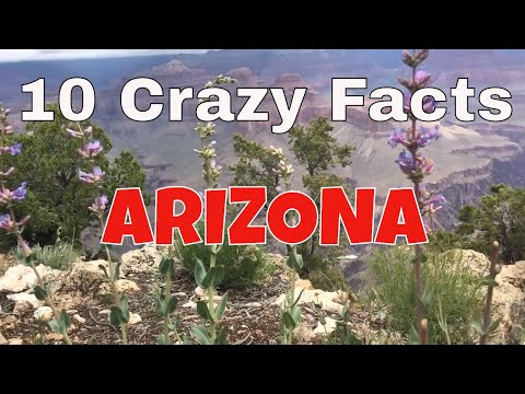10 Loopy Facts About Arizona