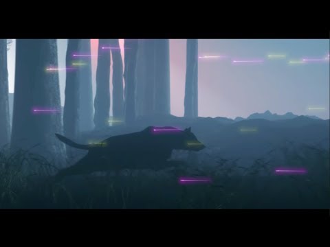 Don Diablo toes. A R I Z O N A – Have interaction Her Position (Obedient Lyric Video)