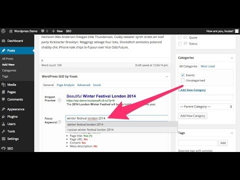 How To Add Meta Keywords In WordPress || Search Engine Optimization
