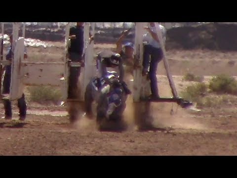 Carreras de Caballos en Phoenix, Arizona 16 de Septiembre 2017