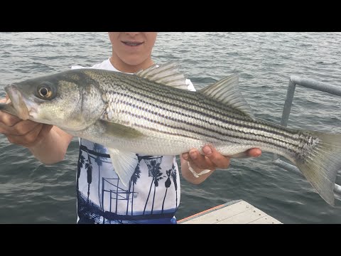 Lake Optimistic STRIPER FISHING! (Phoenix, AZ) *Arizona Day 1*