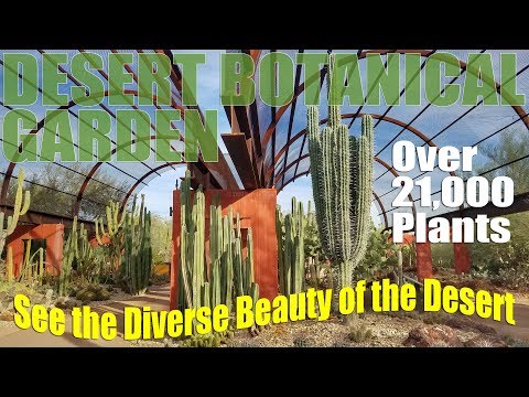 Desolate tract Botanical Backyard | Phoenix Arizona RV Shuttle Vacation relate