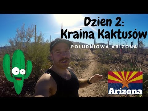 Arizona dzień 2: Kaktusy, petroglify i jedzenie z Walmart